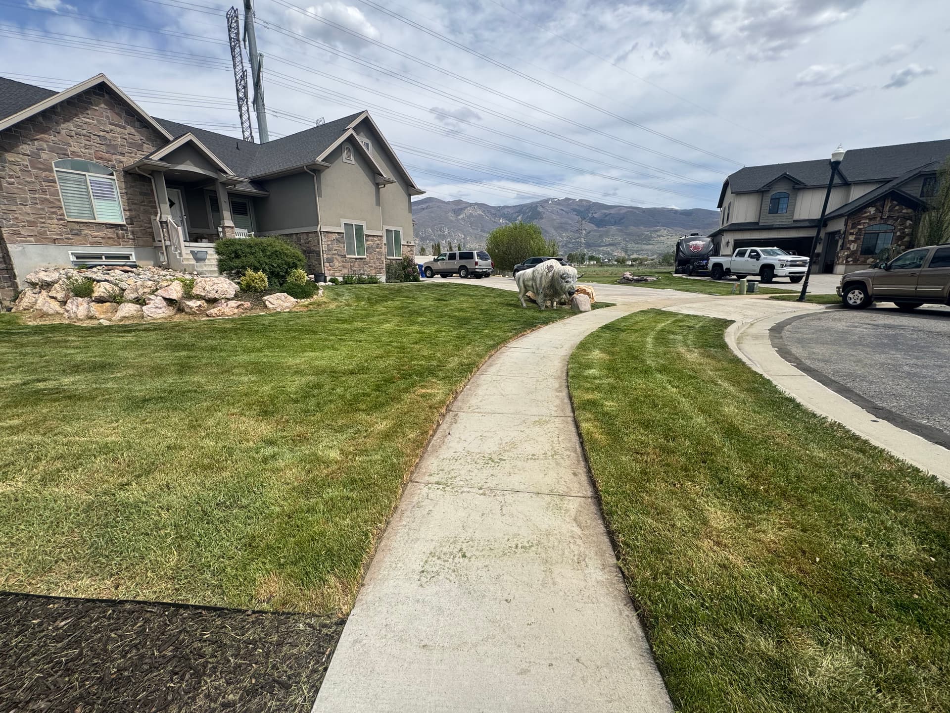 Gallery photos for Lawn Falling Behind? We Help It Bounce Back: Image #6