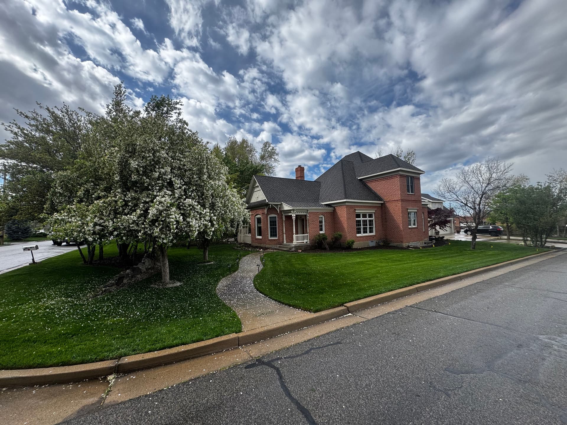 Post-Winter Yard Cleanup That Covers Every Corner image