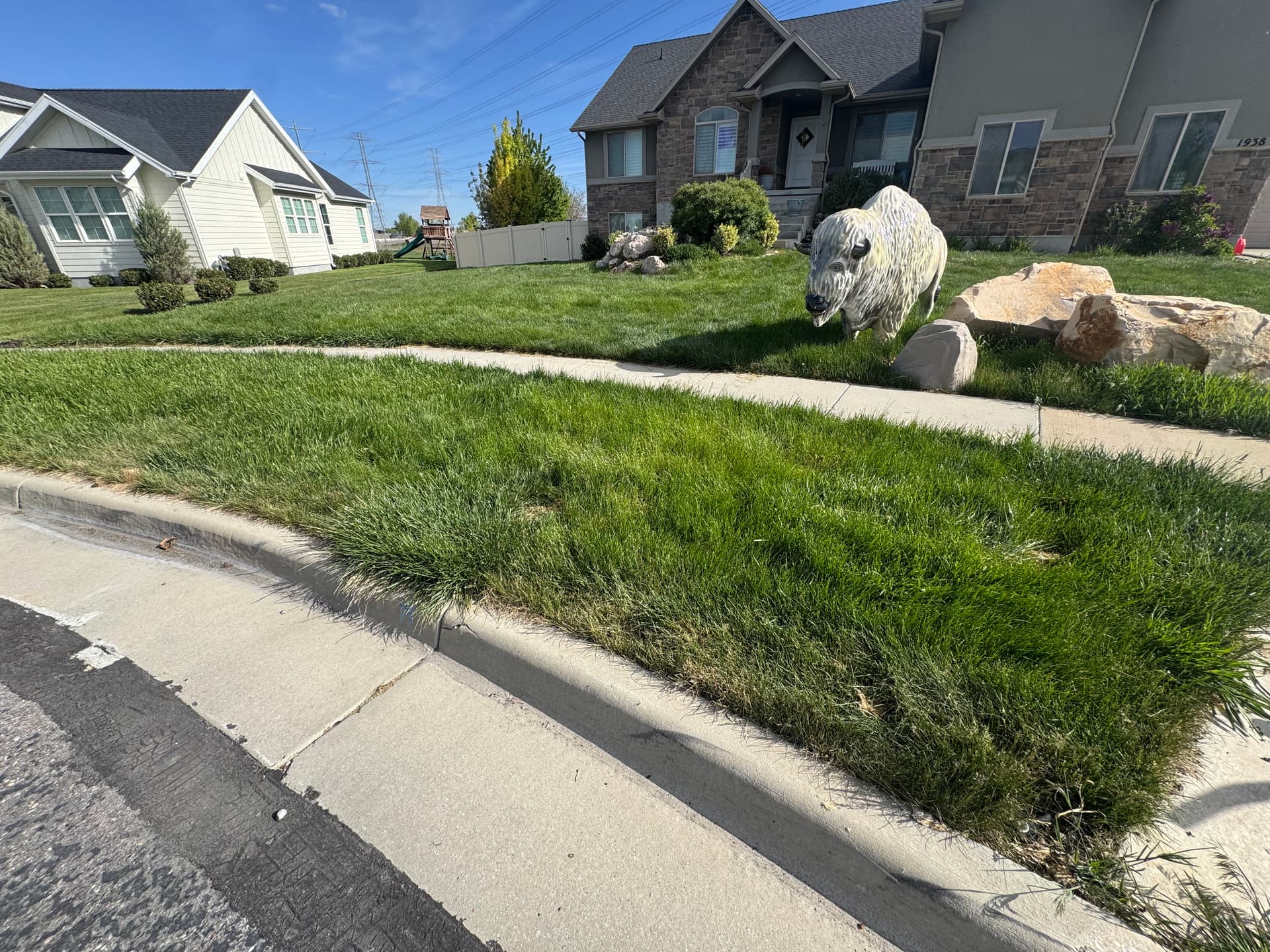 Gallery photos for Lawn Falling Behind? We Help It Bounce Back: Image #2