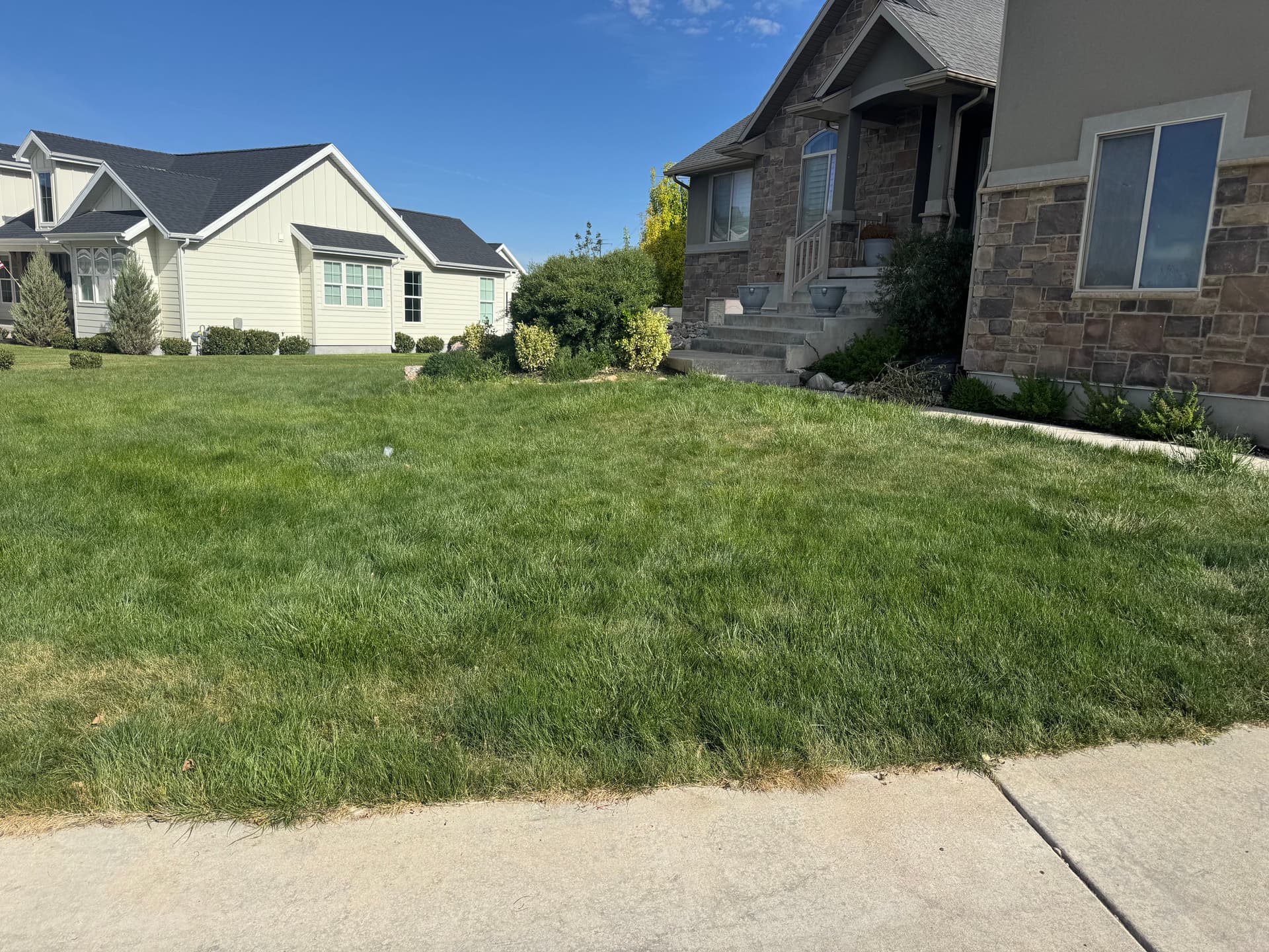 Gallery photos for Lawn Falling Behind? We Help It Bounce Back: Image #1