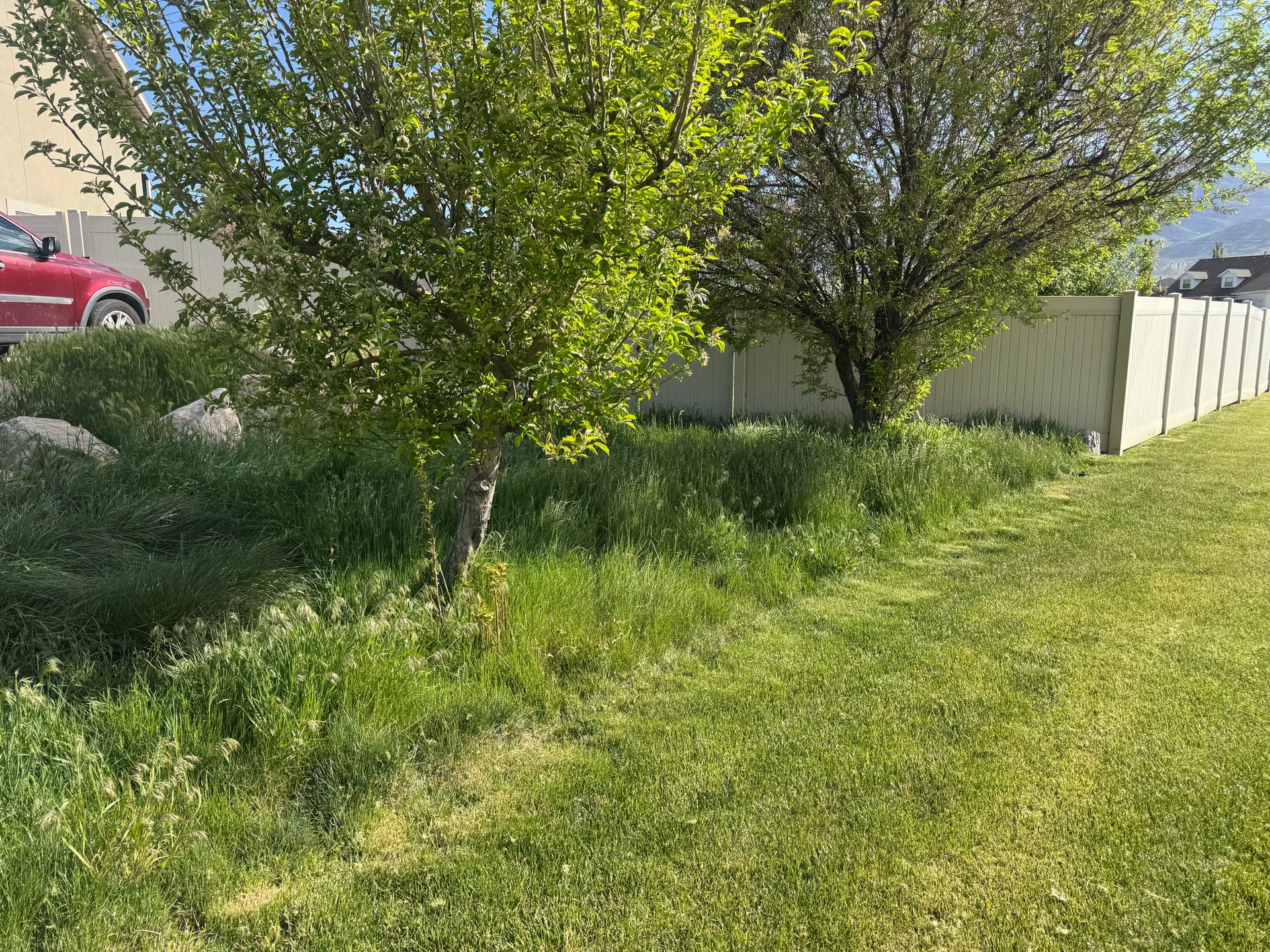 Gallery photos for Lawn Falling Behind? We Help It Bounce Back: Image #3