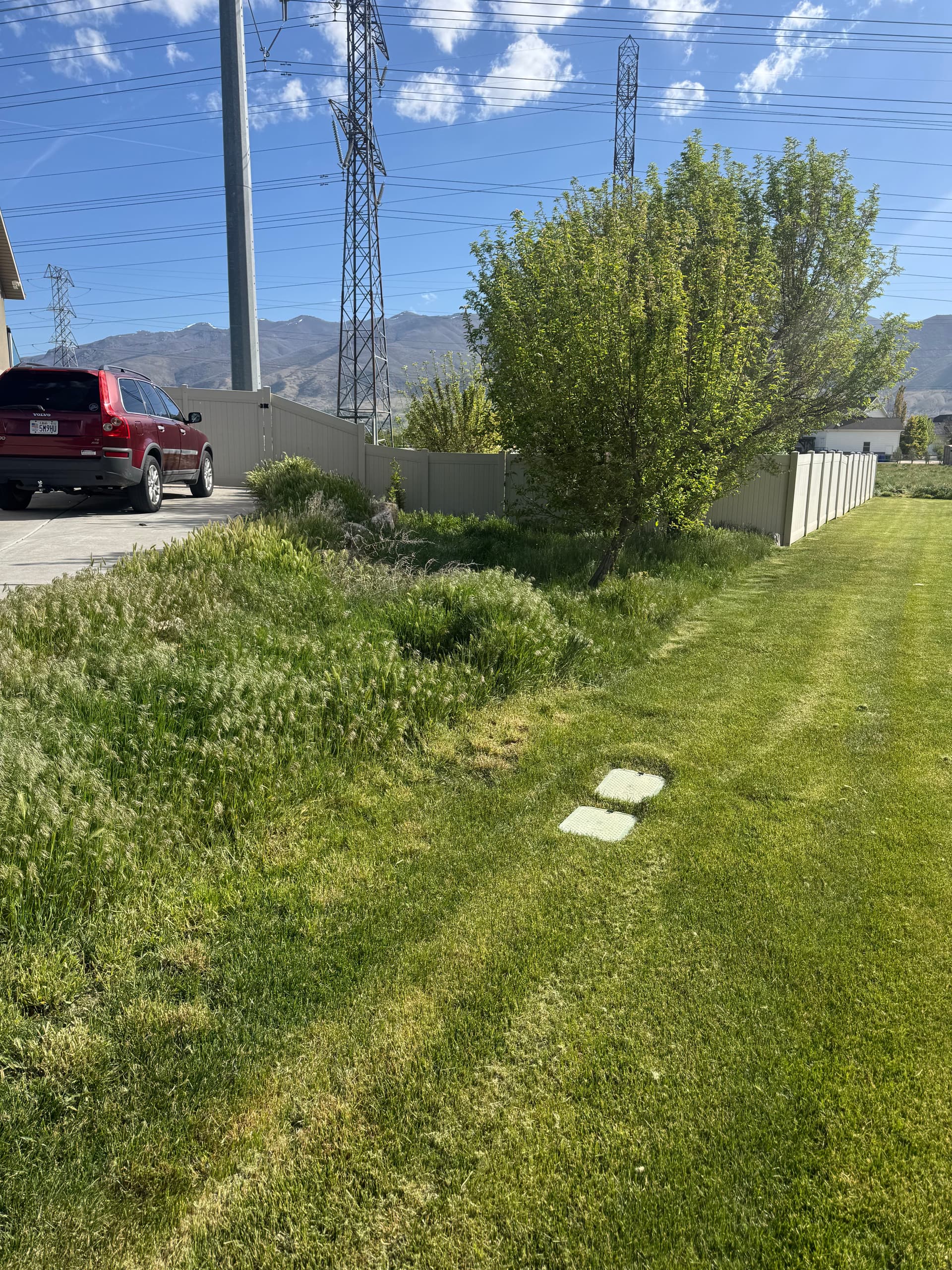 Lawn Falling Behind? We Help It Bounce Back image