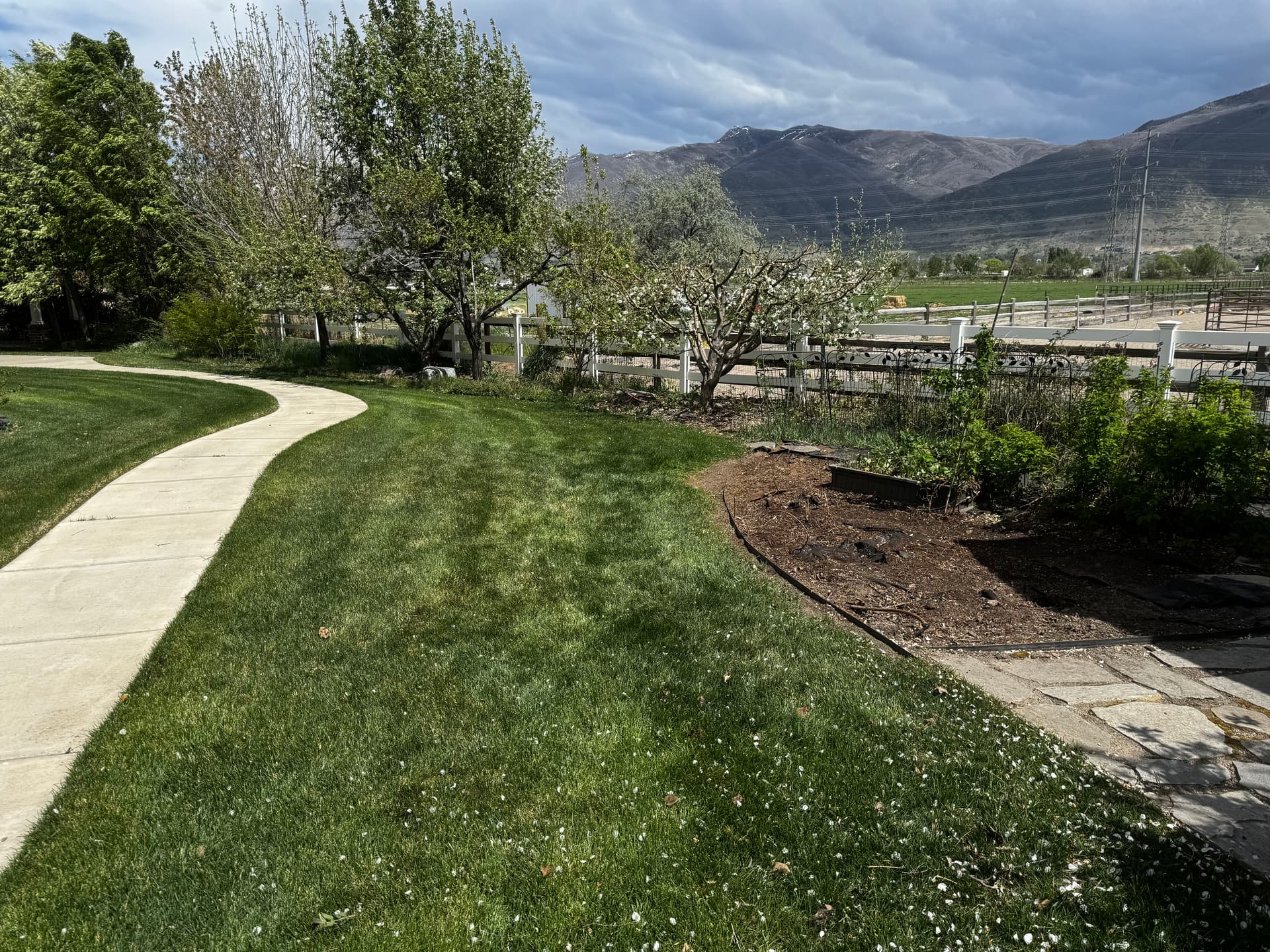 Gallery photos for Overgrown Hedge Removal That Opened Up the Whole Yard: Image #2